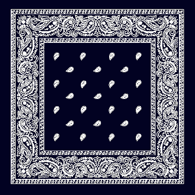 12pcs Black Paisley Handkerchiefs - Dozen Packed 22x22