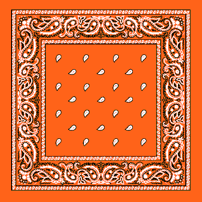 12pcs Orange Paisley Handkerchiefs - Dozen Packed 22x22