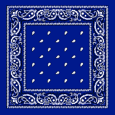 12pcs Royal Blue Paisley Handkerchiefs - Dozen Packed 22x22