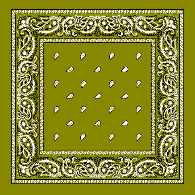 12pcs Olive Green Paisley Handkerchiefs - Dozen Packed 22x22