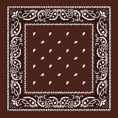 12pcs Dark Brown Paisley Handkerchiefs - Dozen Packed 22x22