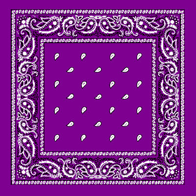 12pcs Grape Paisley Handkerchiefs - Dozen Packed 14x14