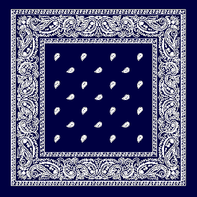 12pcs Navy Blue Paisley Handkerchiefs - Dozen Packed 22x22