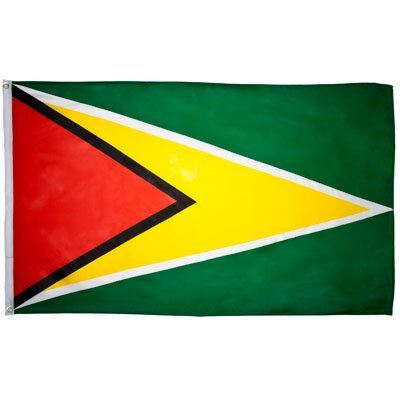 144 Guyana Flag 3ft x 5ft Polyester - Case - 12 Dozen - Imported