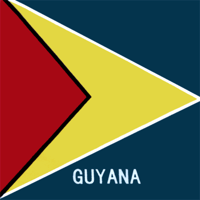 12pcs Guyana Flag Bandanas in Bulk by the Dozen - 22x22 - 100% Cotton