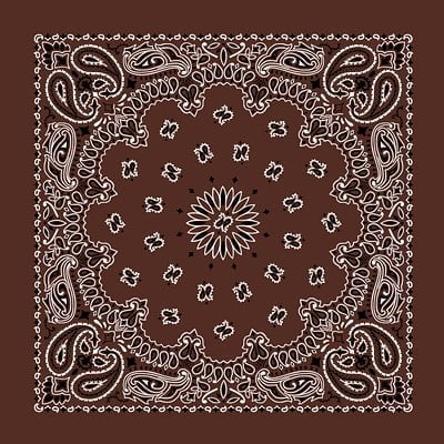 12pcs American Made Cocoa Brown Western Paisley Bandanas - Dozen Packed - 100% Cotton - 22x22 Inches